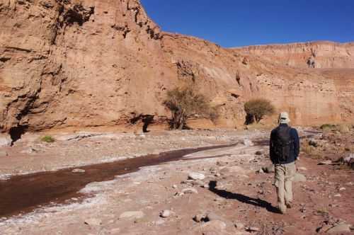 TREKKING NEL DESERTO DI ATACAMA 2015